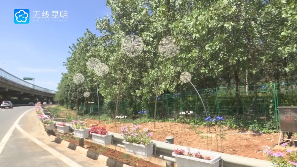 1_ea4b3479c24c4197998b47e5fa7025d7