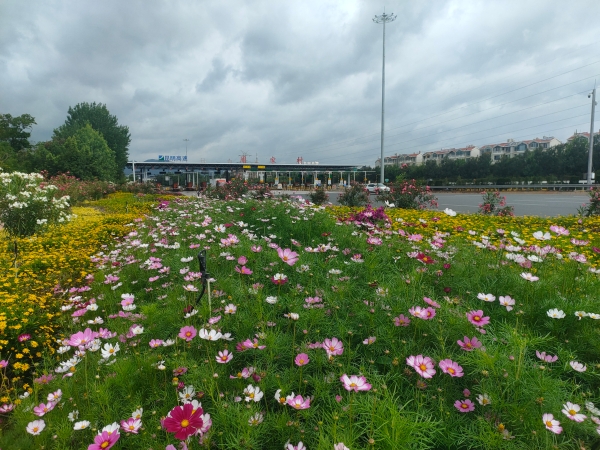 IMG20240529101236(1)