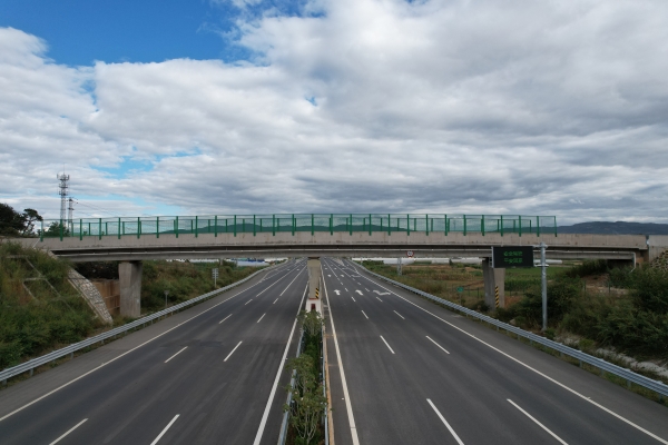 K15+000机耕天桥立面